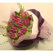 18 Purple Tulips